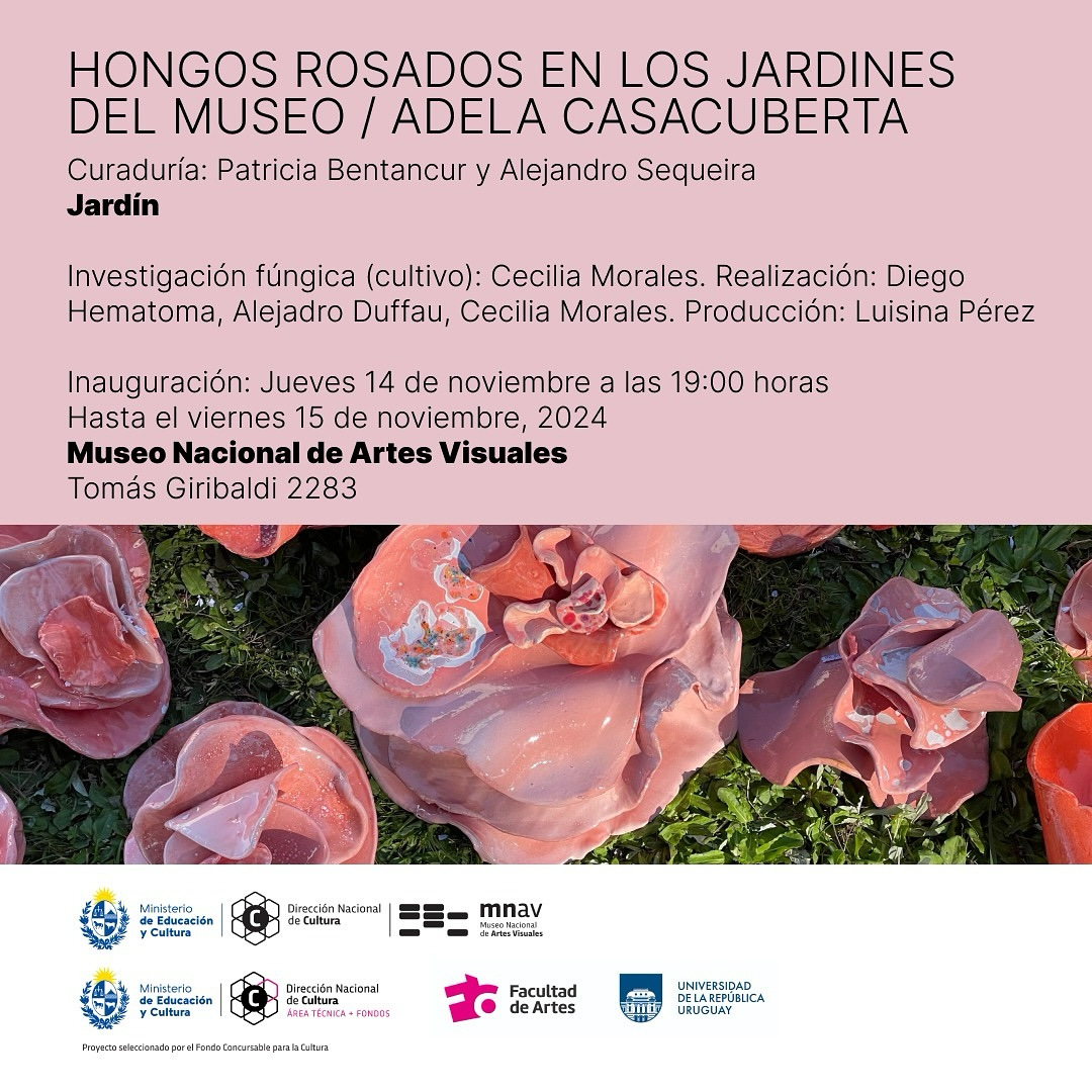 Invitaci�n - Museo Nacional de Artes Visuales