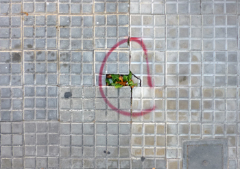  - En el lugar de lo dicho - Exploraciones en el archivo discursivo de la fotografía - Museo Nacional de Artes Visuales