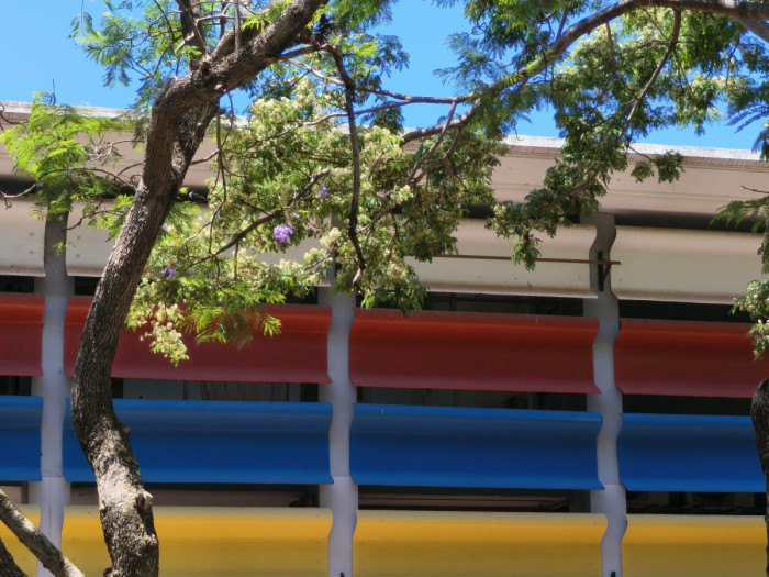 - Museo cerrado por montaje y reformas edilicias - Museo Nacional de Artes Visuales