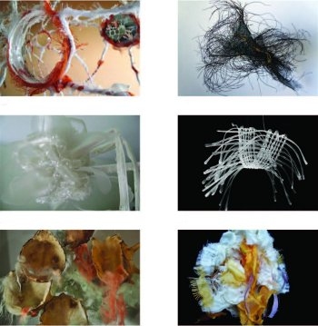  - Aerícolas - Arte textil contemporáneo del Uruguay - Museo Nacional de Artes Visuales