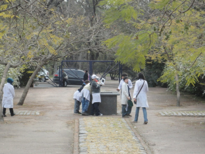  - Actividad con ceibalitas: Juego del QR en el Jardín del Museo - Museo Nacional de Artes Visuales