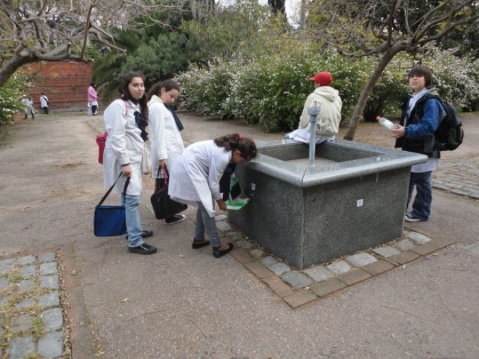  - Actividad con ceibalitas: Juego del QR en el Jardín del Museo - Museo Nacional de Artes Visuales