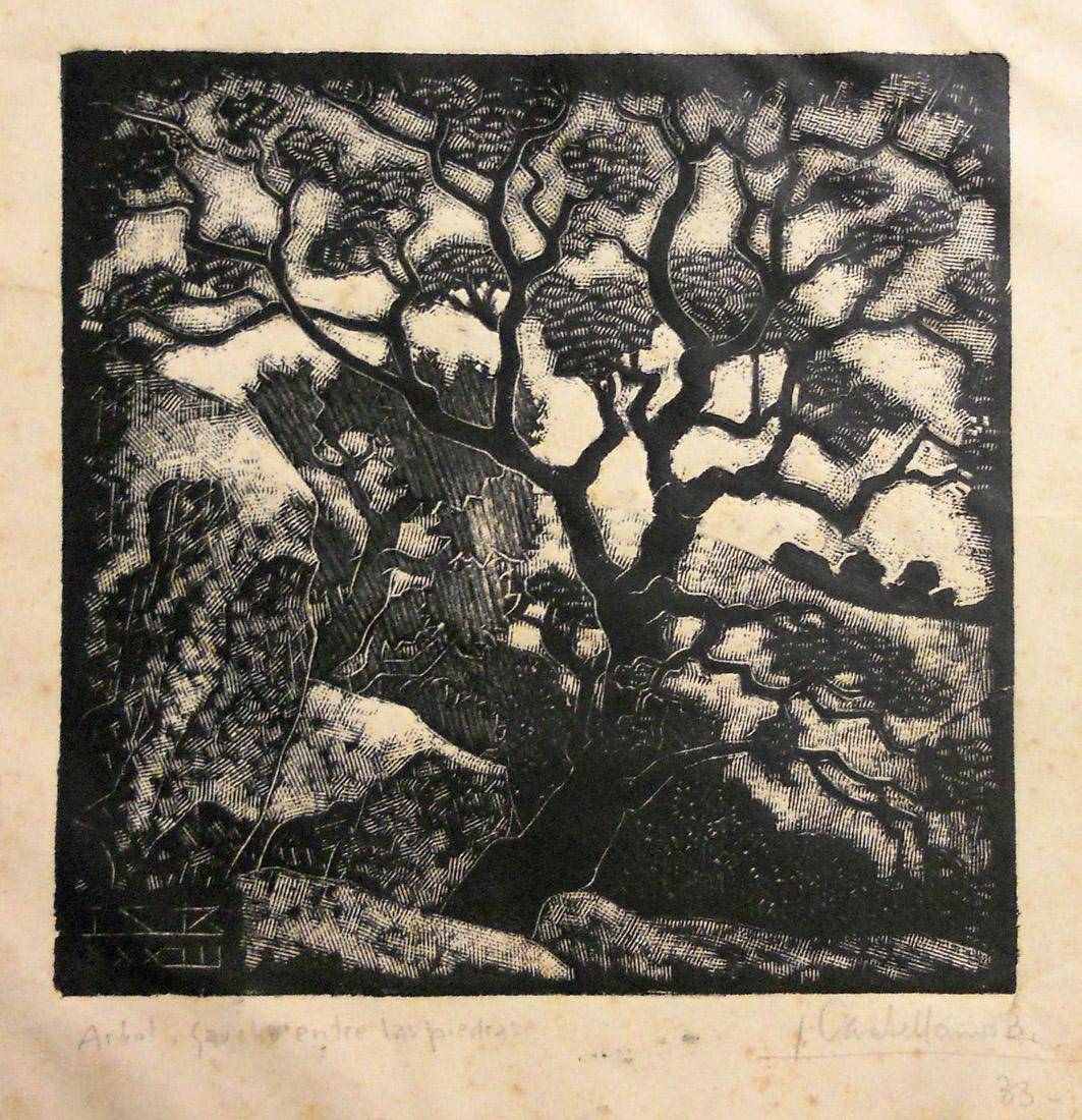 Árbol gaucho entre las piedras, 1933. Leandro Castellanos Balparda (1894-1957). Xilografía.  17 x 17,5 cm. Nº inv. 2257.