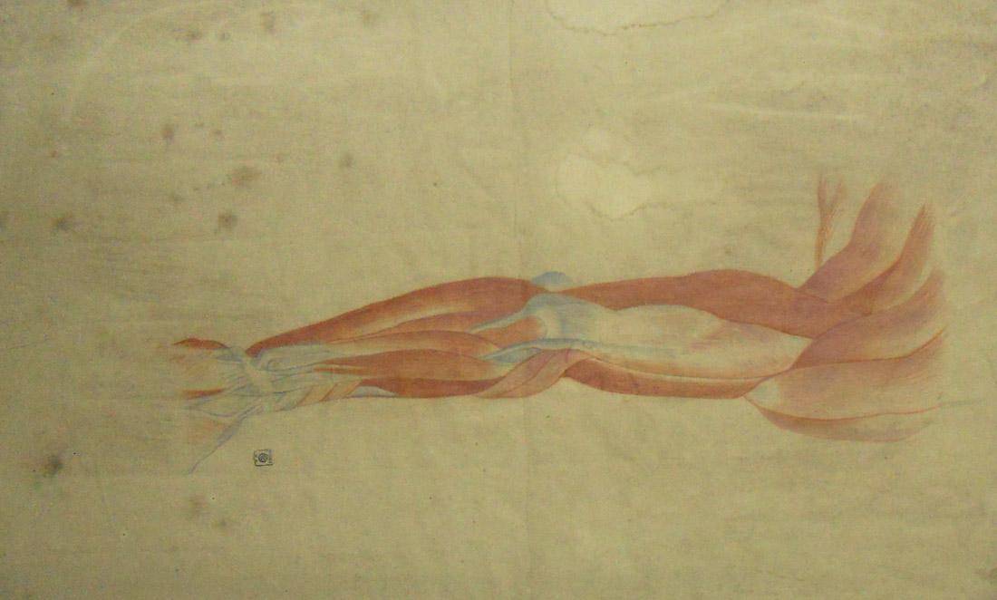 Anatomía - estudio en color, c.1863