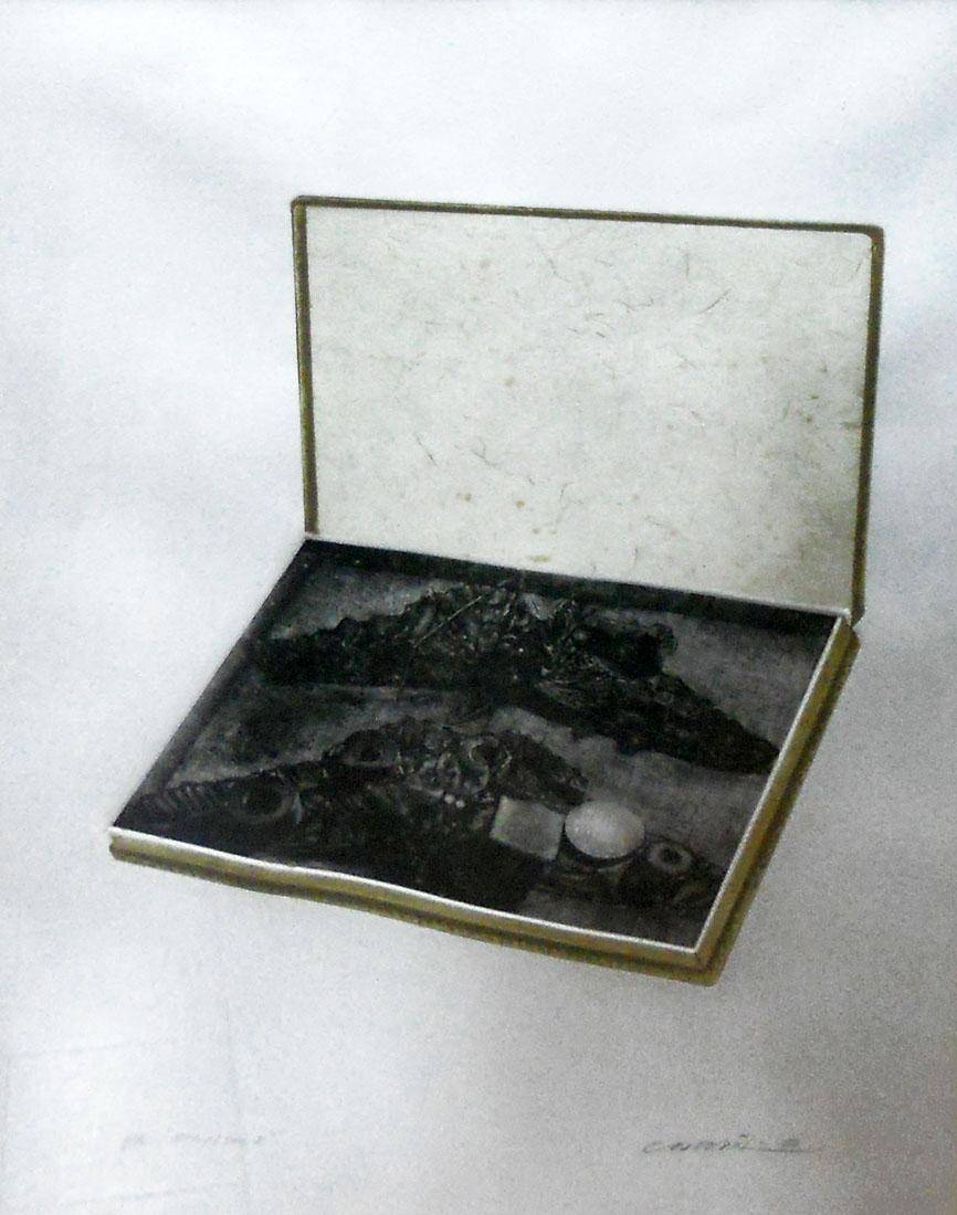 Caja ritual I, 1981. Rimer Cardillo (1944). Manera negra-chine colé.  70 x 48 cm. Nº inv. 3898.