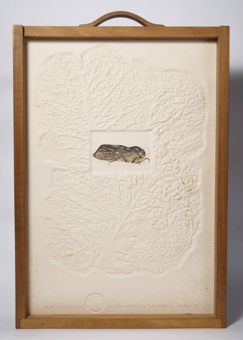 Polilla de primavera, 1981. Rimer Cardillo (1944). Técnica mixta - Grabado.  57,5 x 40 cm. Nº inv. 3900.