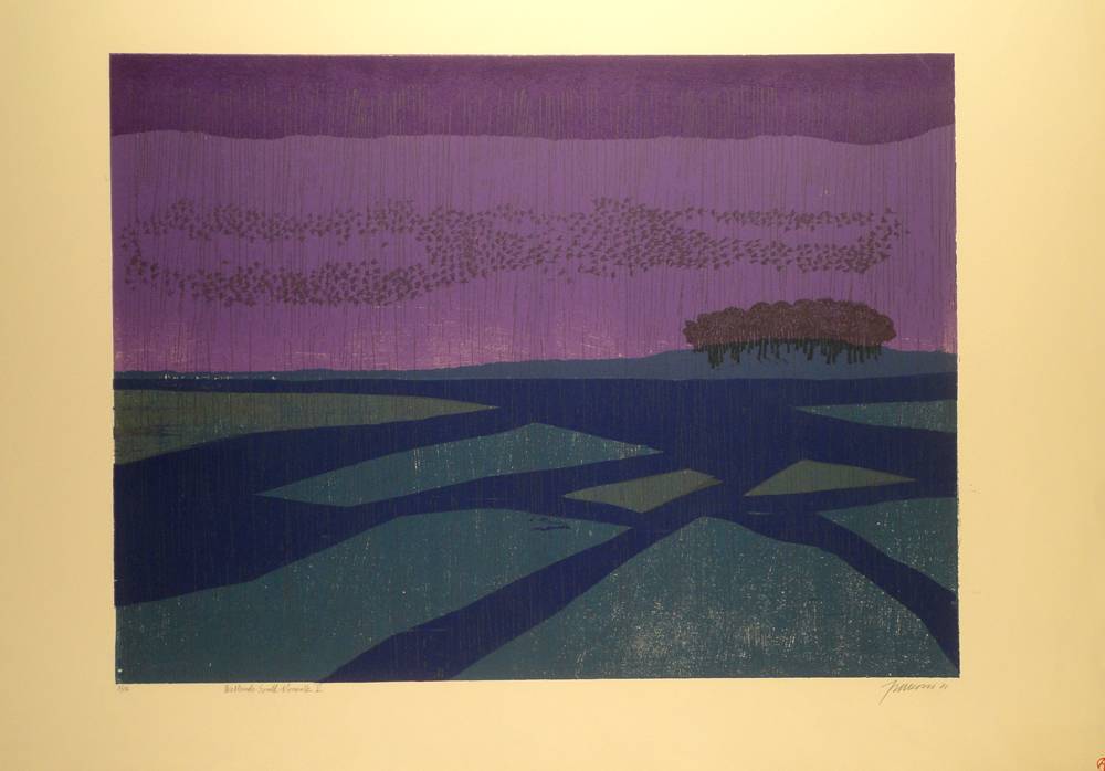 Wetlands South Norwalk V, 1981. Antonio Frasconi (1919-2013). Grabado.  75 x 105 x  cm. Nº inv. 4941.